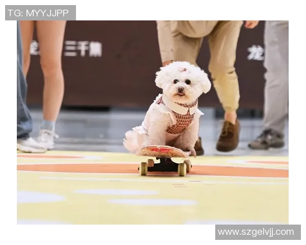 武汉滑板队在全国滑板状态排行榜中荣获第六名的佳绩引发关注 武汉滑板队在全国滑板状态排行榜中荣获第六名的佳绩引发关注